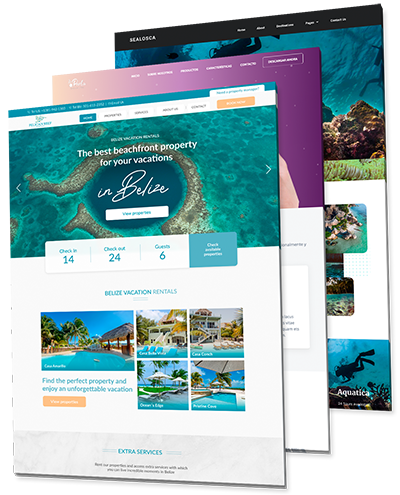 specialist web design in Belize